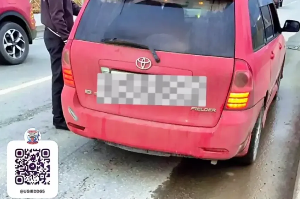 В Южно-Сахалинске задержан водитель, сбивший детей и скрывшийся с места