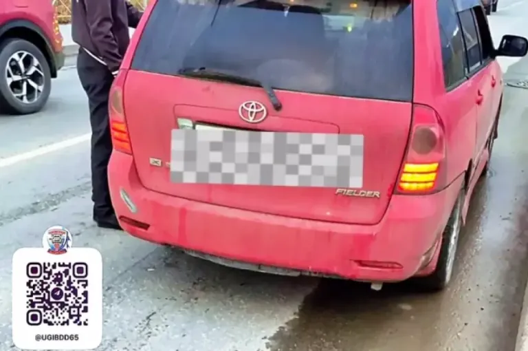 В Южно-Сахалинске задержан водитель, сбивший детей и скрывшийся с места