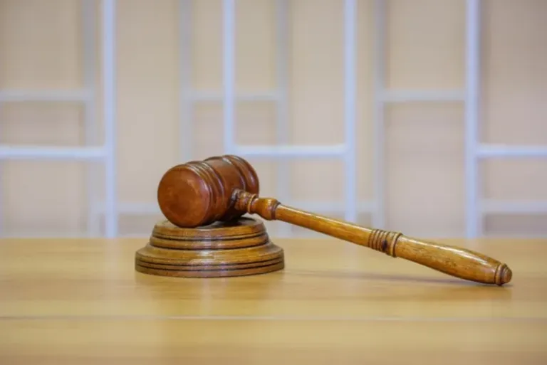 Иностранец на Сахалине получил 10 суток ареста за долг по алиментам