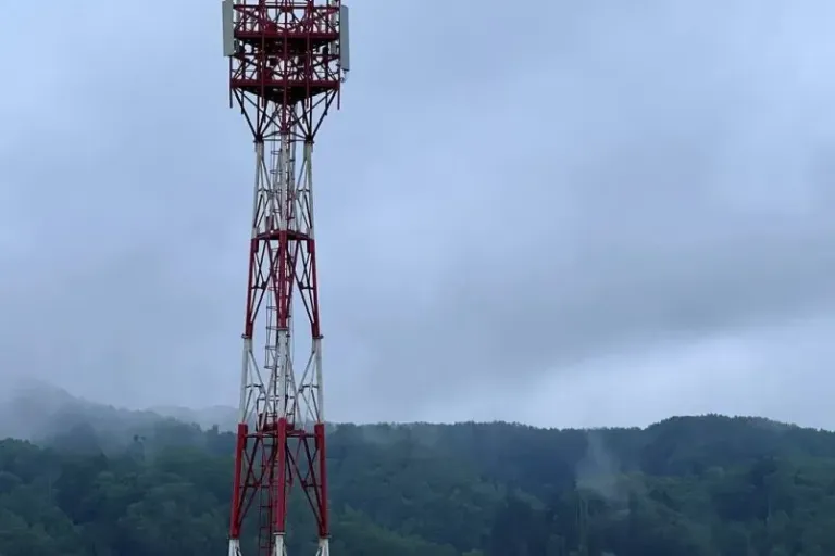 МТС запустила LTE у Охотского рыбоводного завода в Мальково